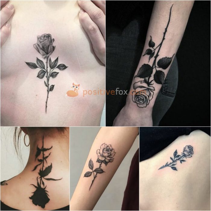 Best 100+ Rose Tattoo Ideas - Rose Tattoos Ideas with Meaning