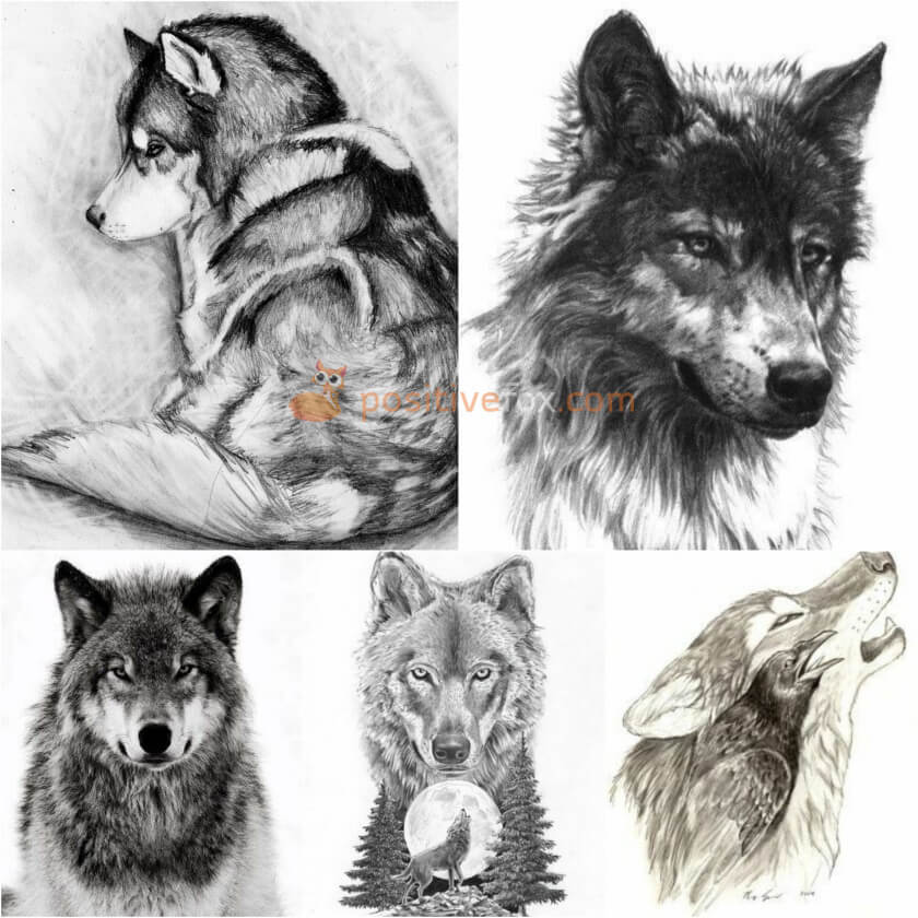 Best 100+ Wolf Tattoo Ideas - Wolf Tattoo Design Ideas with Meaning