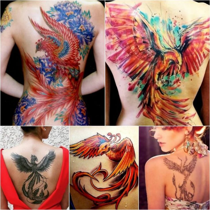 Phoenix Tattoos Meaning Phoenix Tattoos Meaning