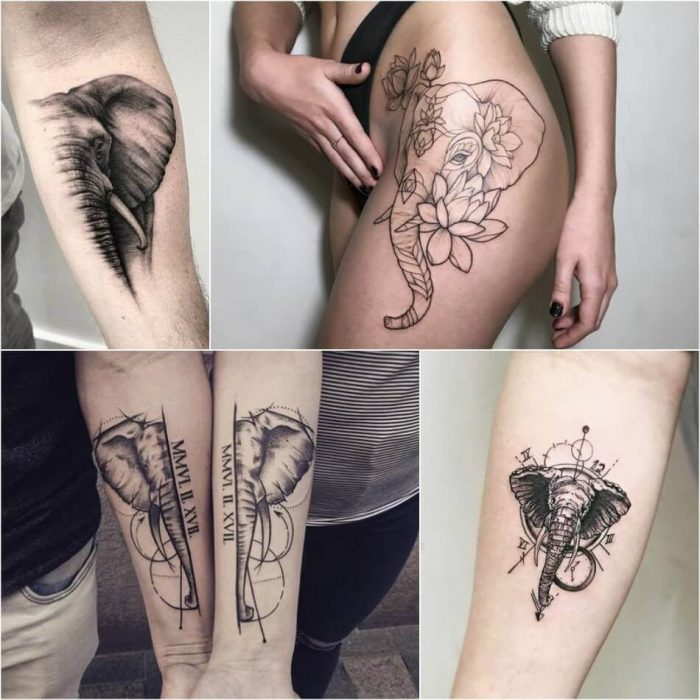 66 Free Tattoo Ideas Elephant Idea Tattoo Photos