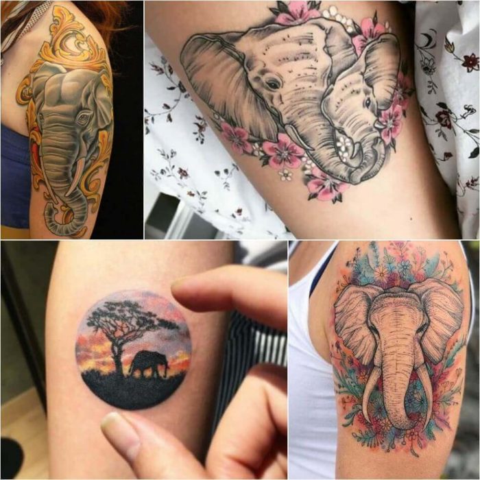 Elephant Tattoo Designs - Most Popular Elephant Tattoos with Meaning