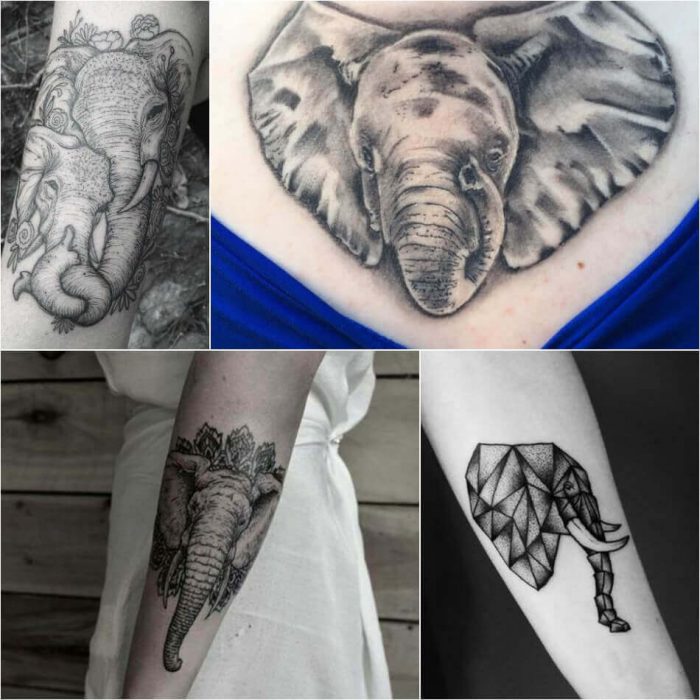 Elephant Tattoo Designs Most Popular Elephant Tattoos With