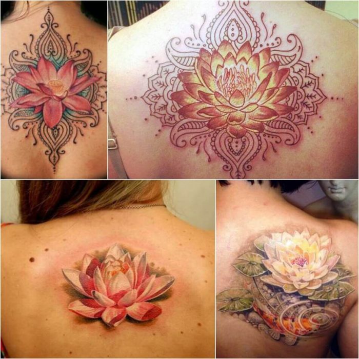 Lotus Flower Tattoo Female Lotus Tattoos Designs with Meaning