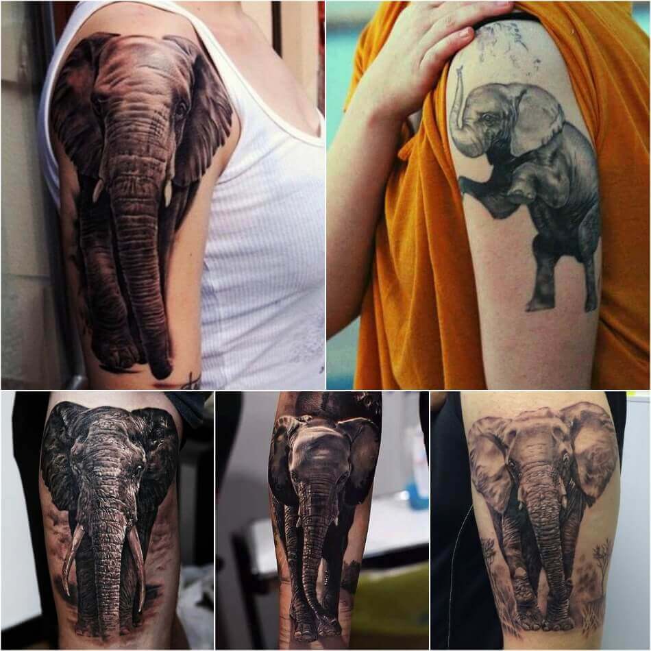 50 Original Elephant Tattoo Designs. #7 is Genius : r/tattooobserver