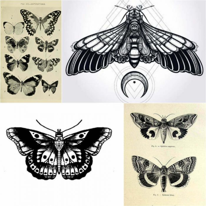 710+ Free Tattoo Design Butterfly HD Tattoo Images