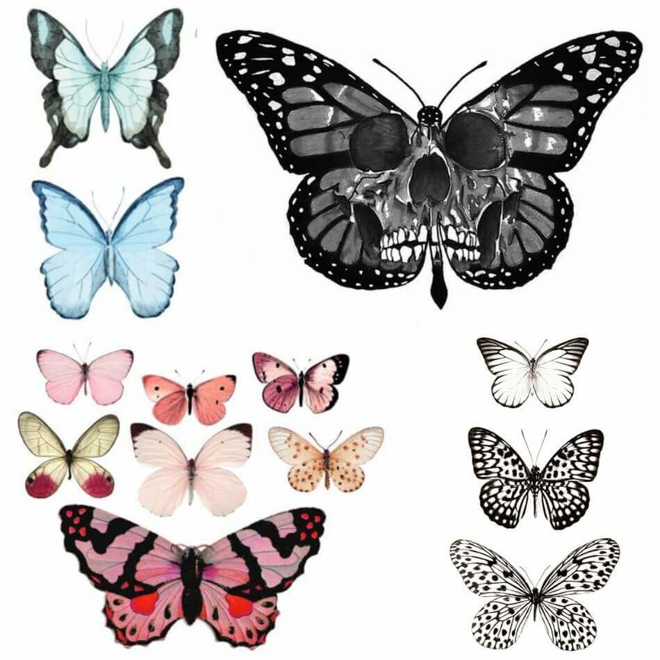 710+ Free Tattoo Design Butterfly HD Tattoo Images