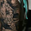 Lion Tattoo - Lion Tattoo Meaning - Lion Tattoo Ideas - Lion Tattoo Designs