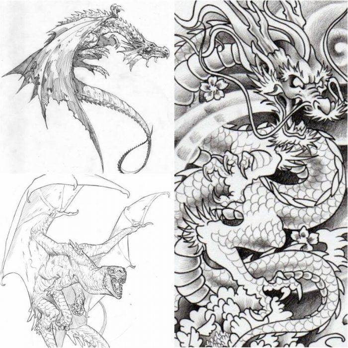 95 Free Download Tattoo Design Dragon HD Tattoo Photos