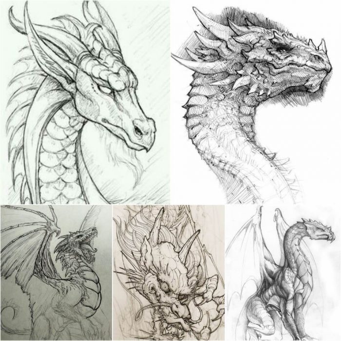 Dragon Tattoo Designs European And Oriental Dragon Tattoo Ideas