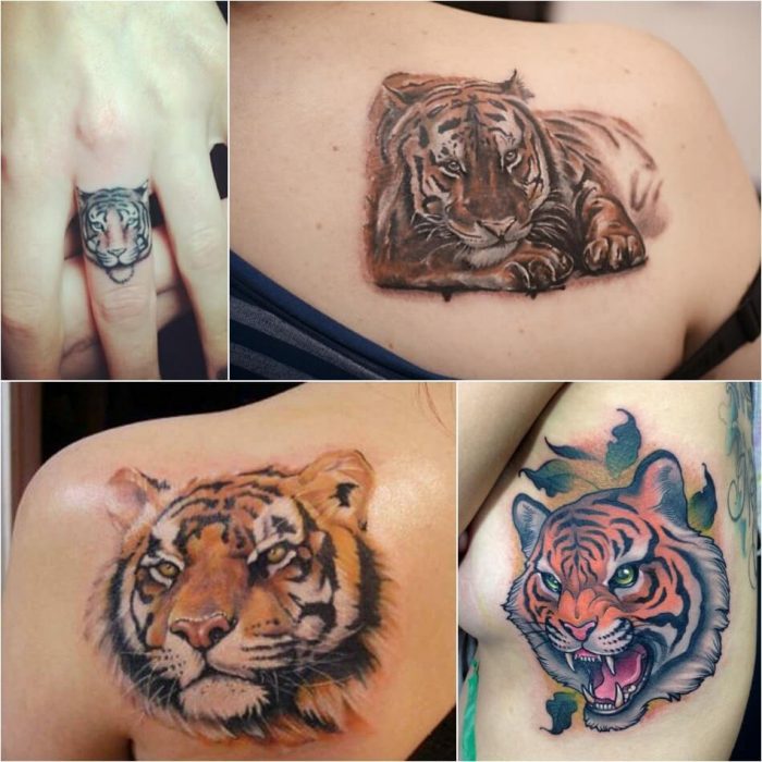 tiger tattoos - tiger tattoos for females - tiger tattoo small