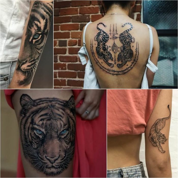 tiger tattoos - tiger tattoos for females - tiger tattoos meaning