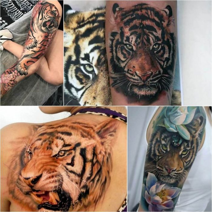 tiger tattoos for girls