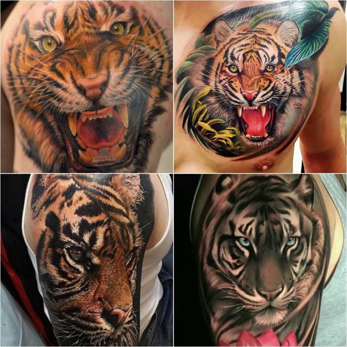 Tiger Tattoo Designs - Combination of Power, Wisdom and Fear of Death