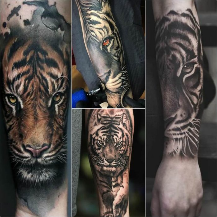 tiger tattoos - tiger tattoos meaning - tiger tattoo arm