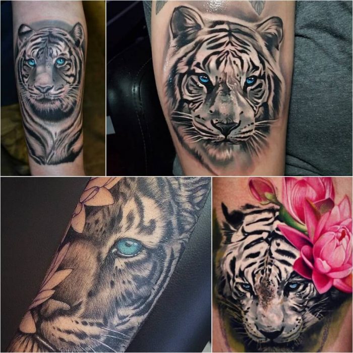 tiger and tattoo traditional white black and Tiger Power, Tattoo  of Designs  Combination Wisdom